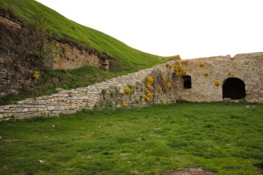 güzel taş duvar ve yeşil çimen