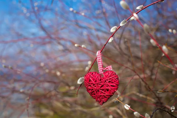 Kırmızı kalp dallar üzerinde asılı bahar