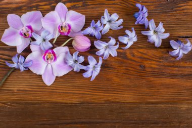 Tahta arka planda bahar çiçekleri