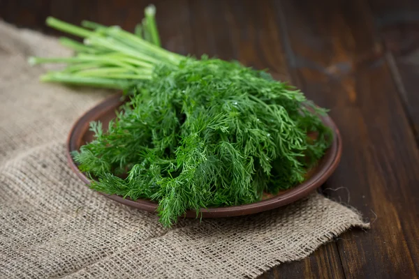 Fresh dill on a wooden table — Stock Photo, Image