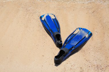 kum deniz kenarında üzerinde dalış için palet