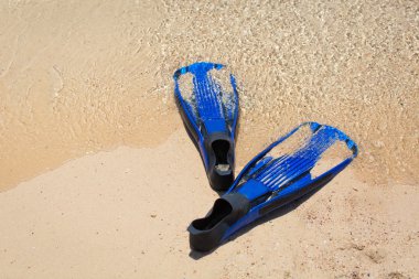 kum deniz kenarında üzerinde dalış için palet