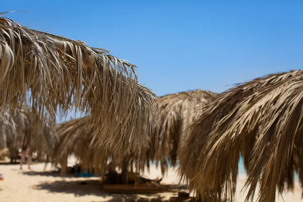 Морской пляж с соломенными зонтиками, голубое небо — стоковое фото