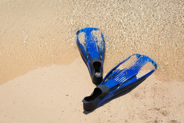 kum deniz kenarında üzerinde dalış için palet