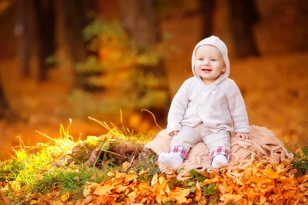 Sonbahar turuncu yaprak içindeki küçük çocuk. Açık.