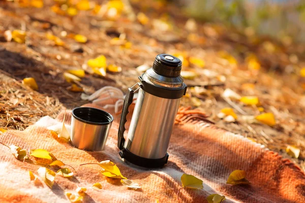 Sonbahar park battaniyeye termos açıktır