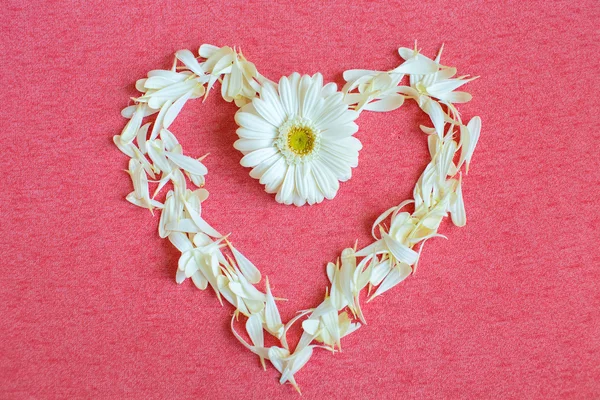 güzel çiçek ve yaprakları kumaş