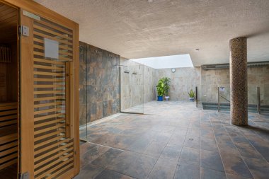 Modern konut binasının çatı penceresi altında saunası, duşu, bitkisi ve jakuzisi olan geniş bir kaplıca.