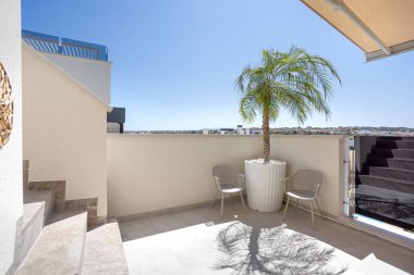 Güneşli çatı köşesinde palmiye ağaçları, minimalist sandalyeler ve merdiven girişi var.