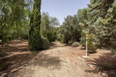 Parlak gün ışığında her iki tarafında ağaçlar ve çalılar olan geniş çakıl yolu.