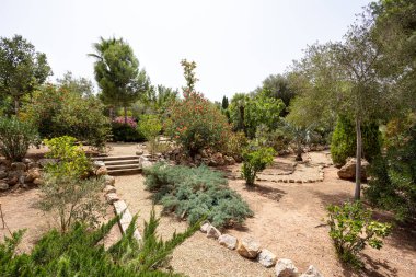 Çiçekler, ağaçlar, çakıl yolları ve kuru iklim bitkileriyle güneşli bir bahçe.