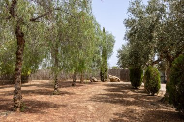 Etrafı ağaçlarla, büyük kayalarla ve güneşli topraklarla çevrili kuru bir bahçe.