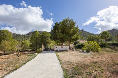 Güneşli garaj yolu ağaçlar ve manzaralı dağ manzarasıyla çevrili kapılı araziye çıkar.