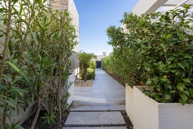 Tropikal bitkiler, kaldırım taşları ve beyaz saksılarla dolu zarif bir yürüyüş yolu.