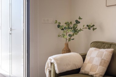 Hafif ışıklı köşesinde zeytin yeşili kanepe, battaniye, yastık ve hasırdan vazo var.