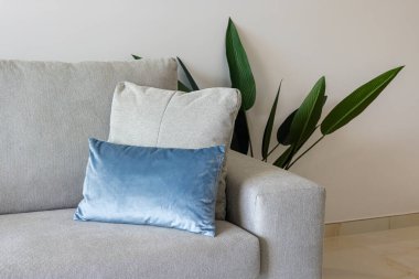 Yumuşak mavi yastıklı minimalist kanepe ve parlak modern iç mekanlı yeşil bitki.