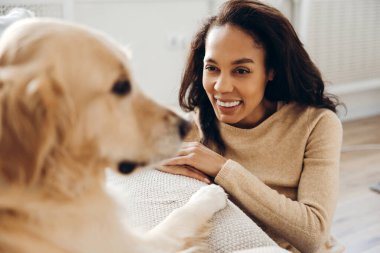 Neşeli gülümseyen Afro-Amerikan kadın evdeki oturma odasında rahat bir kanepede uzanmış Golden retriever 'ı okşuyor. Hayvan konseptine bayılırım.