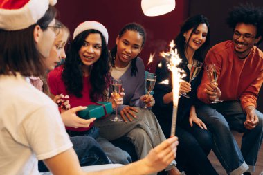 Çeşitli yetişkin arkadaşlar havai fişekler ve içkilerle bayram kutlaması yapıyorlar.