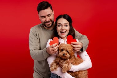 Neşeli çift canlı bir arka planda sevimli köpekleri ve kırmızı kalp sembolleriyle