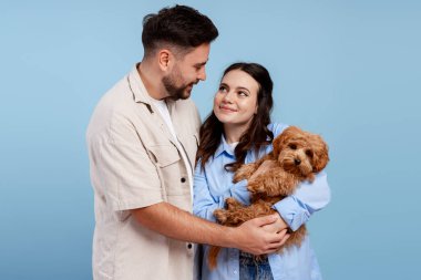 Genç çift sevgililer gününde sevgi dolu bir köpek yavrusu tutuyor, aile sevgisini kutluyor.