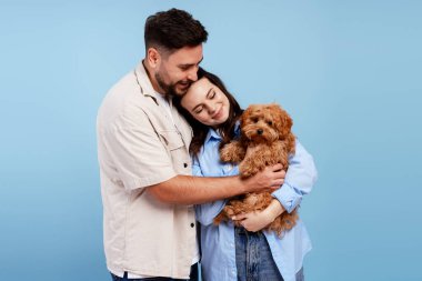 Mutlu çift mavi arka planda yeni evcil hayvanlarını kucaklayan sevimli bir köpek evlat ediniyor.