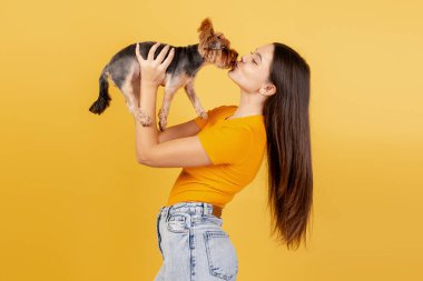 Genç bir kadın sarı arka planda Yorkshire teriyerine sevgi gösteriyor.