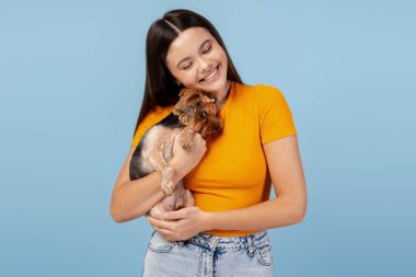 Genç kız, Yorkshire Terrier köpeğini mavi arka planda tutarak sevgisini ve dostluğunu ifade ediyor.