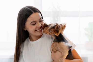 Genç bir kadın gülümsüyor, sevimli bir Yorkshire Terrier köpeği tutuyor, şefkat ve arkadaşlık gösteriyor.