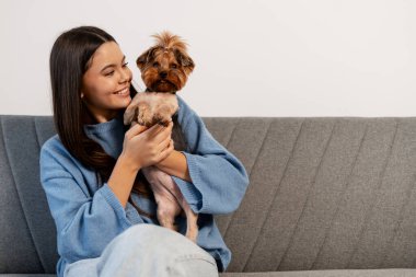 Küçük Yorkshire Terrier köpeği ile kanepede oynayan bir kadın şefkat ve arkadaşlığını paylaşıyor.