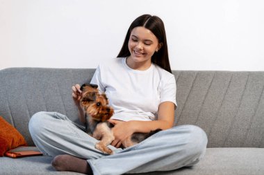 Gri bir kanepede bacak bacak üstüne atmış bir kadın, küçük köpeğini fırçalıyor ve evcil hayvan arkadaşlığının tadını çıkarıyor.