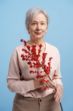 Gri saçlı, gülümseyen, açık mavi arka planda kırmızı kış meyveleri tutan yaşlı kadın.
