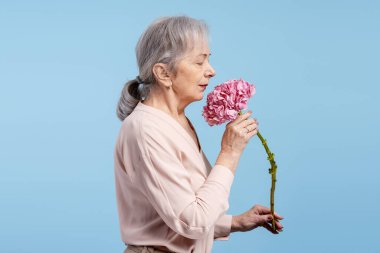 Kıdemli kadın aromaterapiden zevk alıyor, dinginlik ve sağlık için pembe ortanca kokluyor.