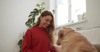 Gülümseyen evcil hayvan sahibi güzel köpeğini okşuyor ve parlak bir oturma odasında kucaklıyor.