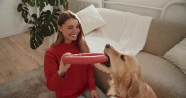Gülümseyen kadın ve onun golden retriever köpeği oturma odasında oyuncak bir yüzükle çekiştiriyorlar.