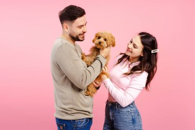 Güzel bir çiftin portresi. Pembe arka planda küçük köpek kucaklaşması. Evcil hayvan konseptine bayılırım.