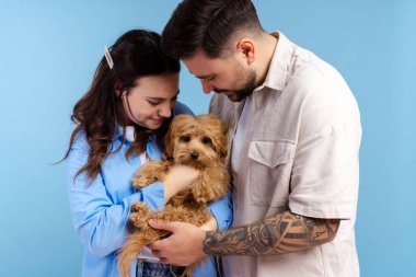Mutlu, gülümseyen bir çift, yakışıklı bir adam ve güzel bir kadın küçük sevimli bir köpek tutuyor, mavi arka planda soyutlanmış bir şekilde sarılıyorlar. Hayvan konseptine bayılırım.