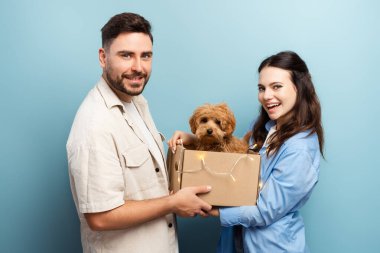 Mutlu, gülümseyen bir çift, heyecanlı bir kadın ve elinde küçük tüylü bir köpek olan bir adam mavi arka planda izole edilmiş kameraya bakıyor. Evcil hayvan konsepti