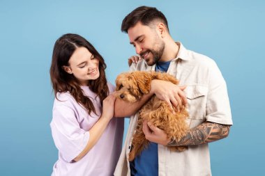Güzel aşık bir çift, yakışıklı bir adam ve neşeli bir kadın küçük sevimli bir köpek tutuyor, mavi arka planda soyutlanmış bir şekilde sarılıyorlar. Hayvan konseptine bayılırım.