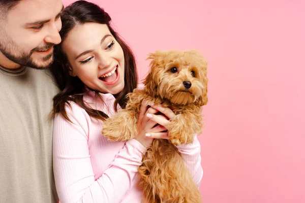 Gülümseyen mutlu çiftin portresi kucağında sevimli köpek kucaklaşması pembe arka plan fotokopi alanında izole edilmiş. Evcil hayvan konseptine bayılırım.