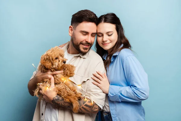 Aşık mutlu bir çift, yakışıklı bir adam ve neşeli bir kadın küçük sevimli bir köpek tutuyor, mavi arka planda soyutlanmış bir şekilde sarılıyorlar. Hayvan konseptine bayılırım.