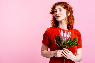 Çilli bir kadın pembe arka planda protea çiçeği tutuyor, doğal güzelliğini ifade ediyor.