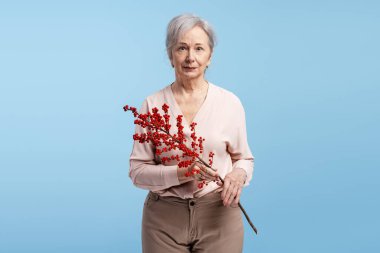 Güzel yaşlı, gri saçlı, sıradan kıyafetler giyen, elinde kırmızı böğürtlenli dal tutan bir kadın mavi arka planda izole edilmiş kameraya bakıyor. Kadınlar Günü konsepti
