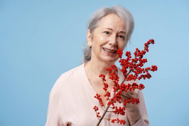 Kırmızı böğürtlenli dal tutan gri saçlı, gülümseyen, mavi arka planda izole edilmiş kameraya bakan olgun bir kadın. Kutlama, doğum günü konsepti