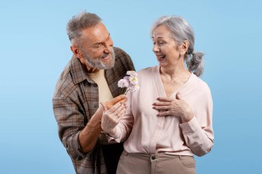 Mavi arka planda yaşayan olgun kadınlara pembe çiçekler veren mutlu kıdemli adam. Aşk, ilişki kavramı