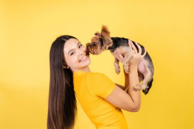 Sevimli Yorkshire teriyeri köpeğini kucağında tutan genç bir kadın, mutluluğu ve arkadaşlığı kutluyor.