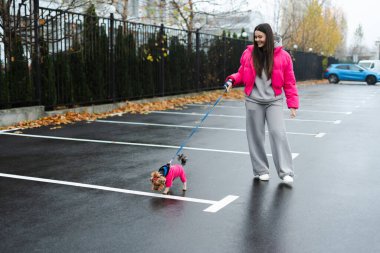 Islak bir sonbahar gününde küçük bir teriyer köpeğini gezdiren genç bir kadın.