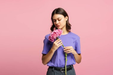 Pembe çiçek ortancasını tutan neşeli, genç bir kadın pembe arka planda kapalı gözlerle kokluyor. Kadın Günü konsepti