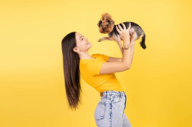 Sarı giysili neşeli genç kız portresi kucağında küçük sevimli bir köpek, sarı arka planda izole edilmiş bir şekilde kameraya bakıyor. Hayvan konseptine bayılırım.