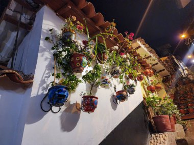 Süslü saksıları olan, dikey bahçelerin manzarası