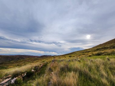Yüksek And vadilerinde baharda doğal çayırları olan çayırlar